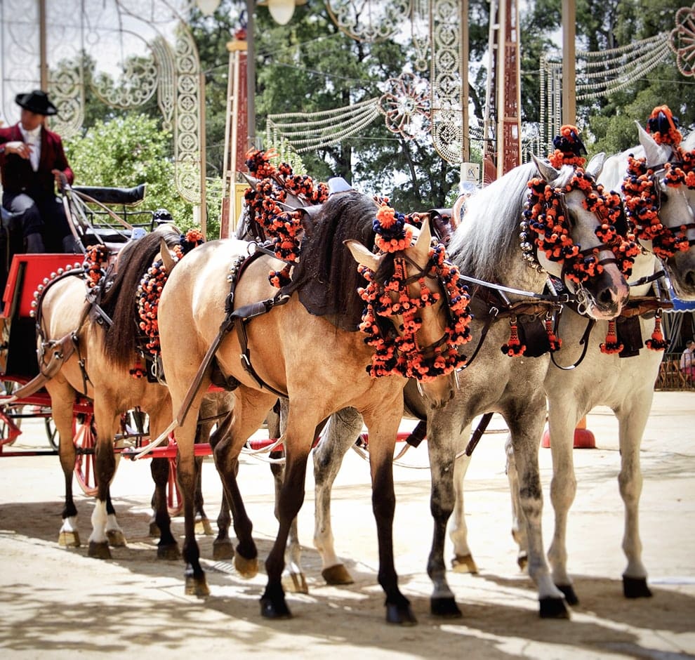 KT - 男子騎馬車