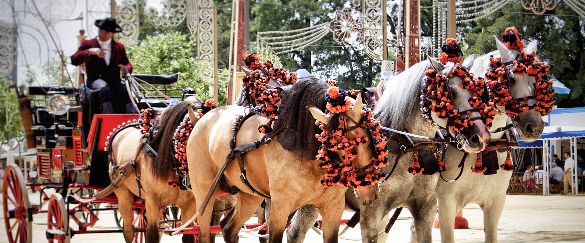 KT - 男子騎馬車