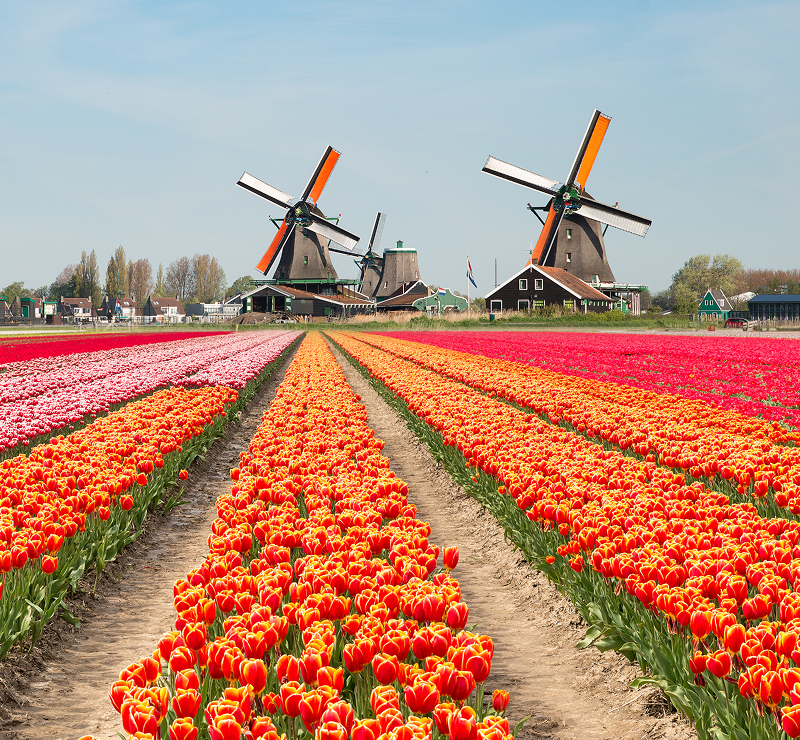 Netherlands
