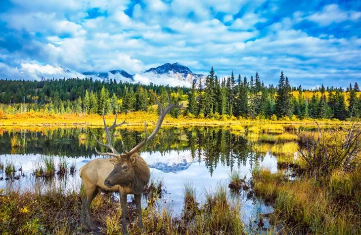 Visit Canada Anytime of the Year!