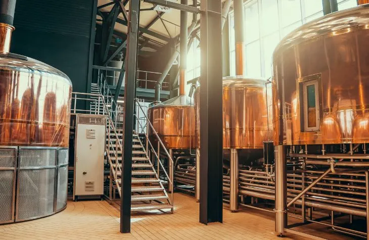 Taste the Czech Brewing Tradition