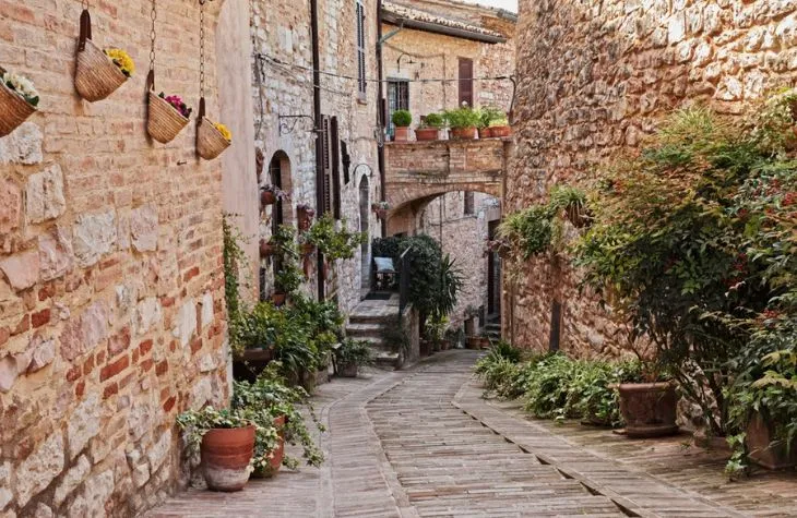 Italys Infior A Spectacular Floral Tradition