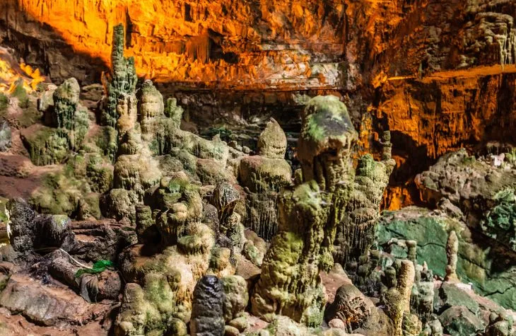 Puglia Wine Tour: A Journey for the Senses