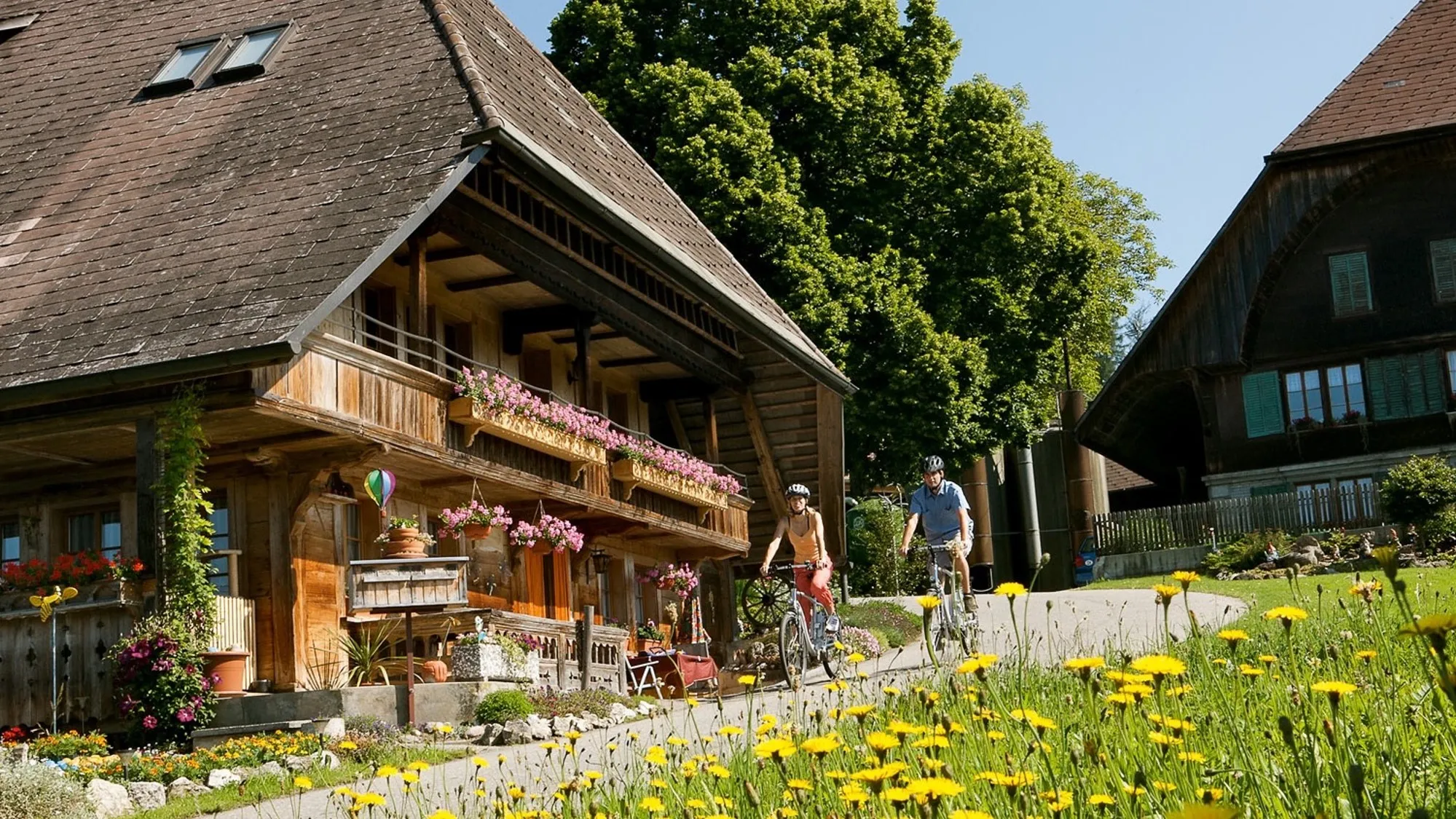 Imagine Experiencing Swisstainable!