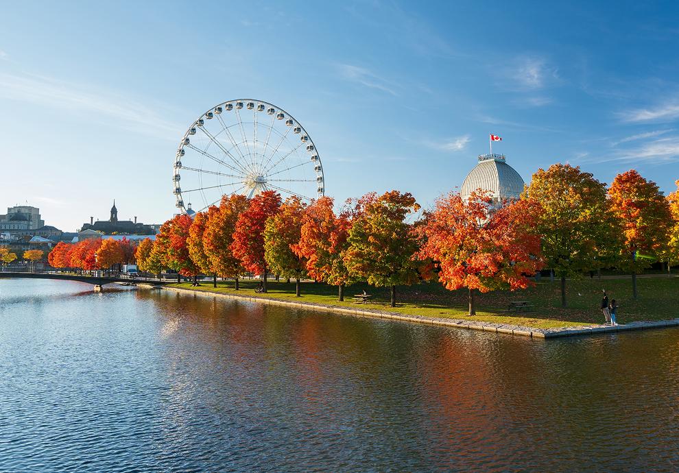 KT -  Close Up Image of City Hall in Fall