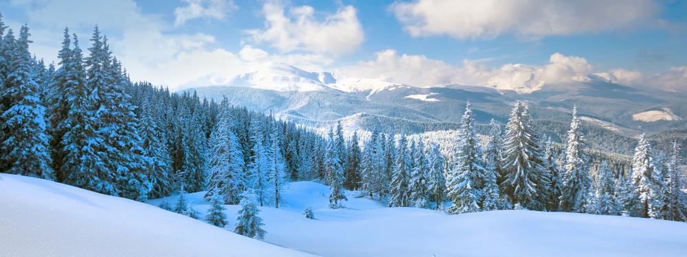 KT - 目的地 - 芬蘭 - 芬蘭雪山圖像