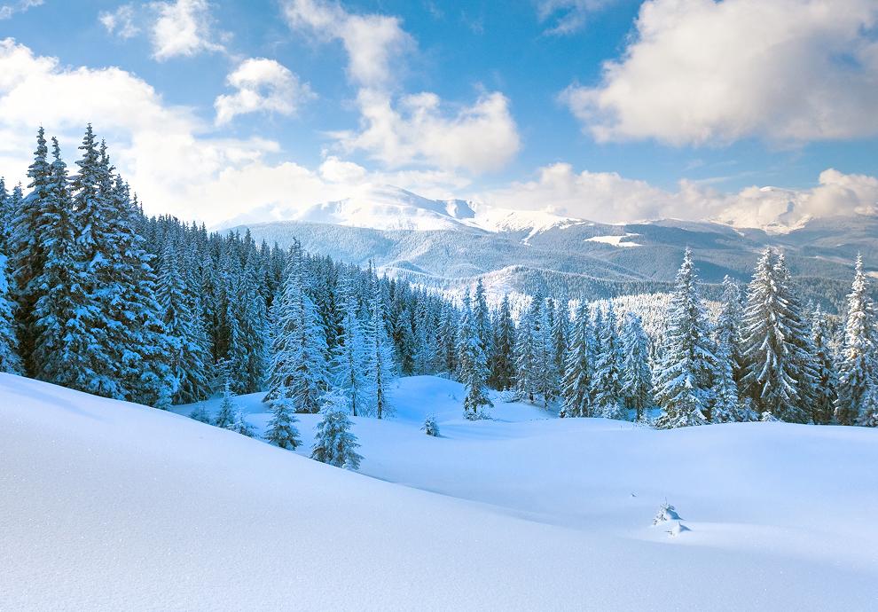 KT - 目的地 - 芬蘭 - 芬蘭白色森林和山脈圖像