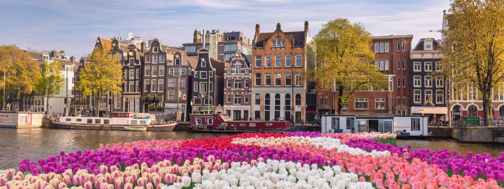 Amsterdam canal with tulips