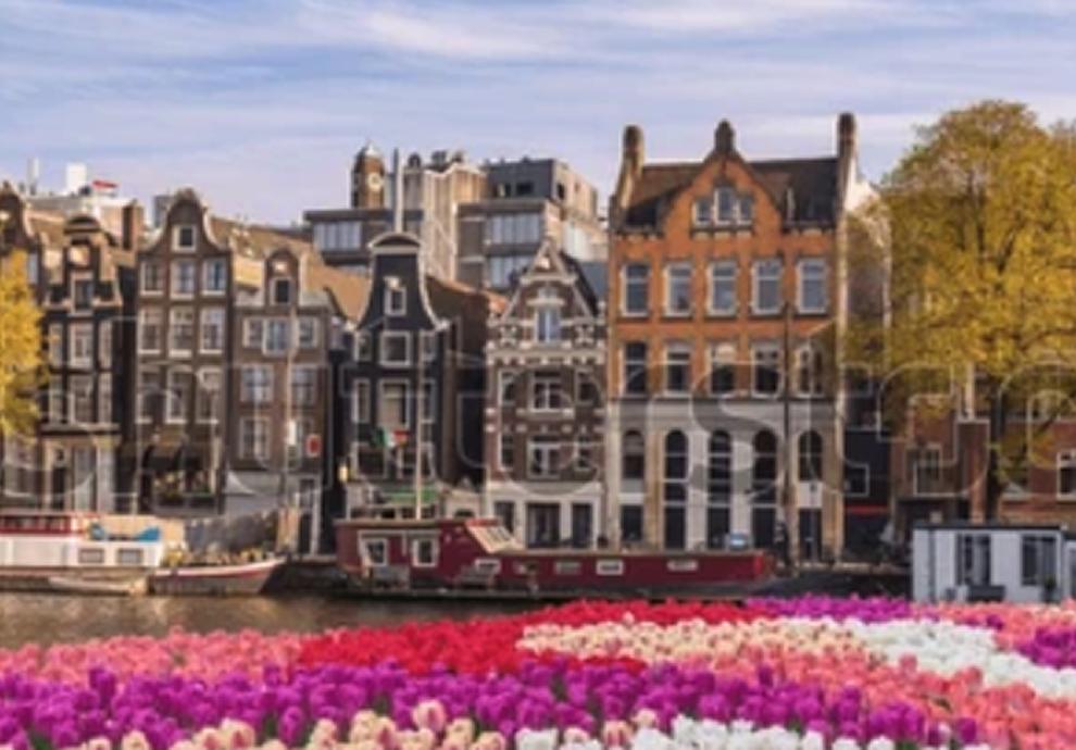 Amsterdam canal with tulips
