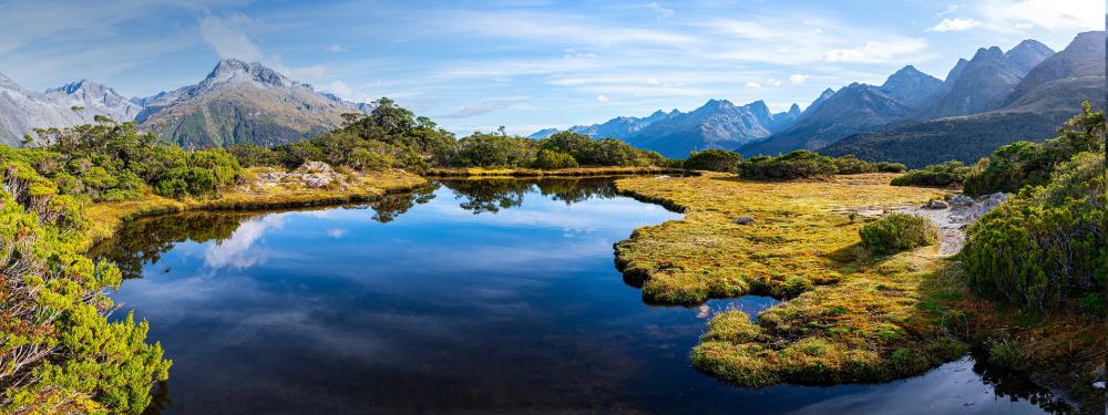Mountain lake surrounded by vibrant nature