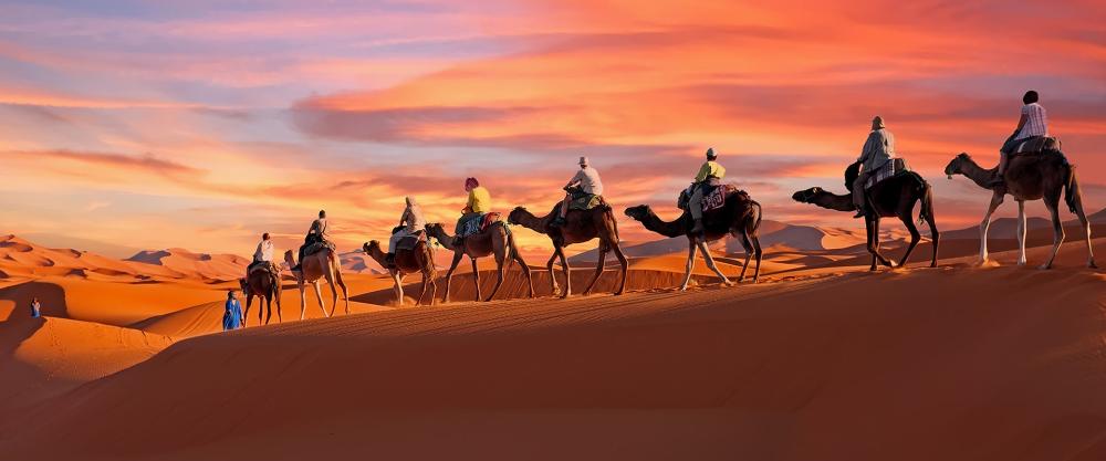 KT-Photo of people riding camel