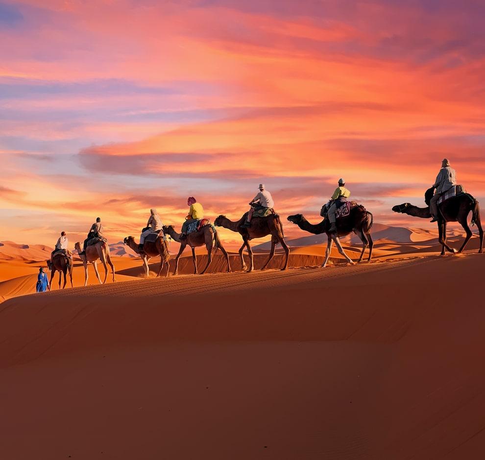 KT-Photo of people riding camel