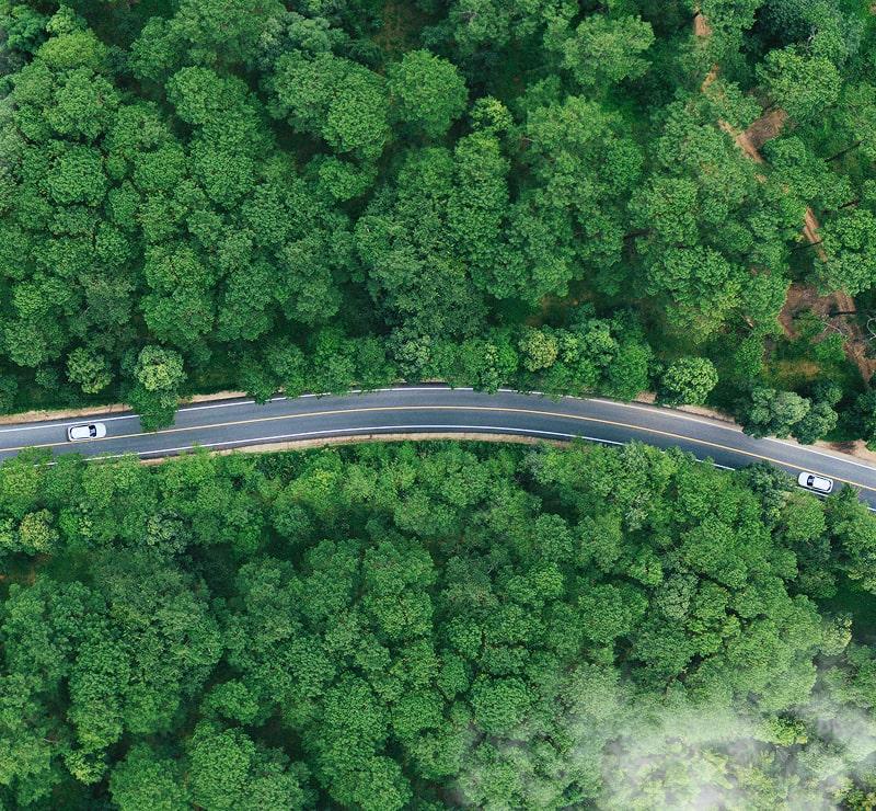 KT - A road in forest