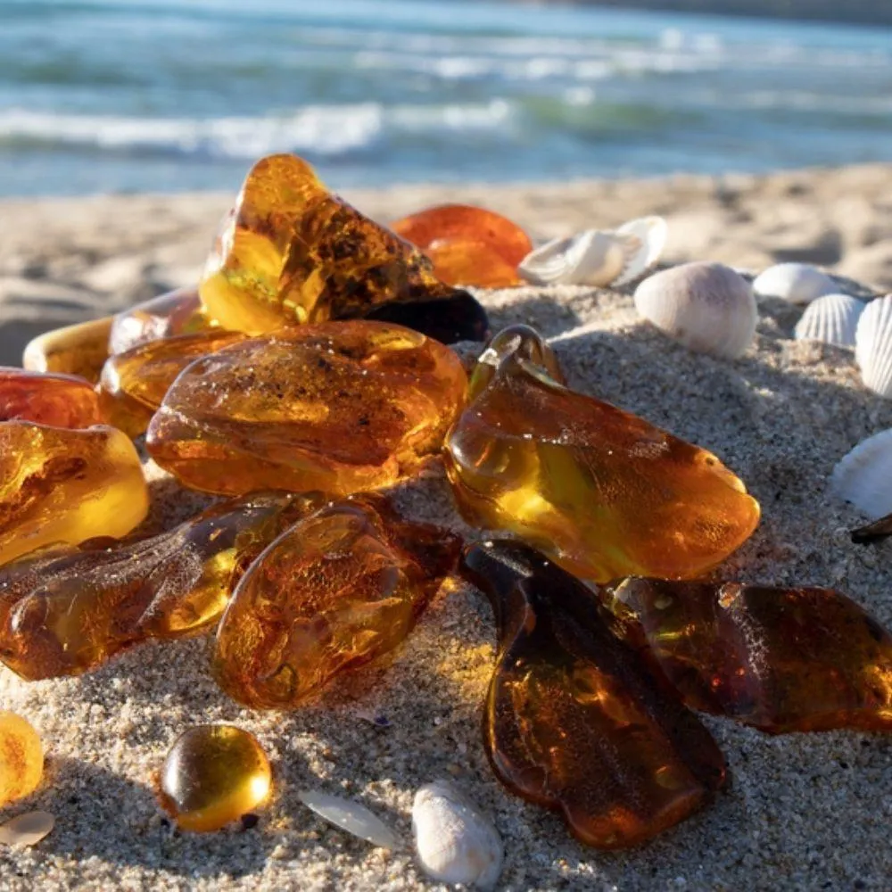 Along the Baltic Sea Coastline: Follow the Adventure